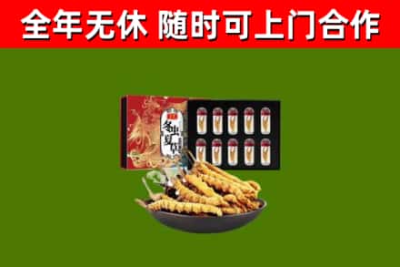 瓯海区回收冬虫夏草价格